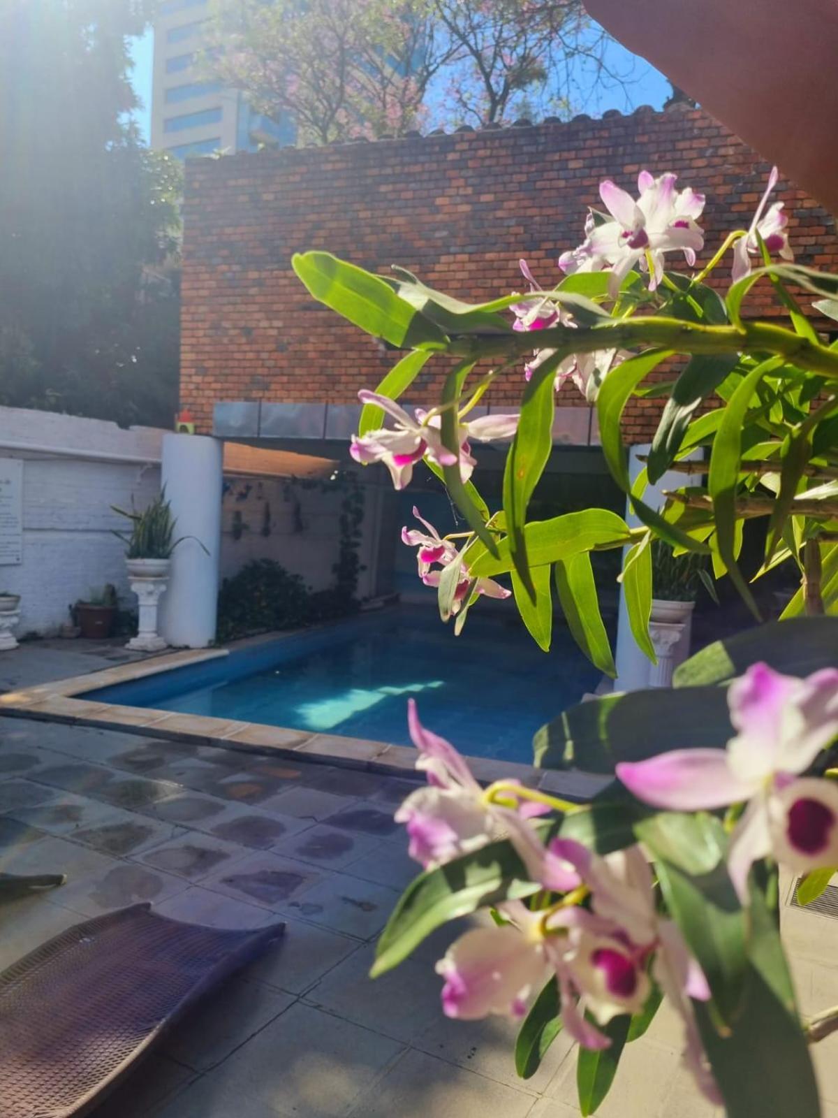 Hotel Hassler Asuncion Luaran gambar